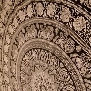 Meet your Posher, Maisie